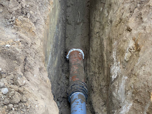Best Flood restoration services  in Oakland, MO
