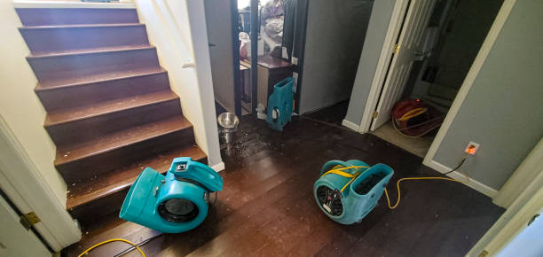 Best Commercial water damage restoration  in Oakland, MO