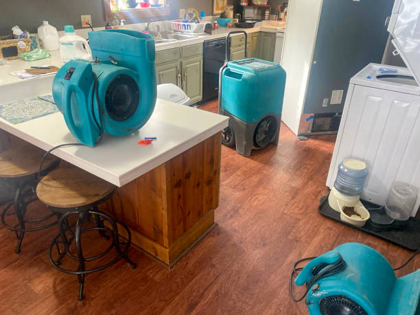 Best Water damage restoration company  in Oakland, MO