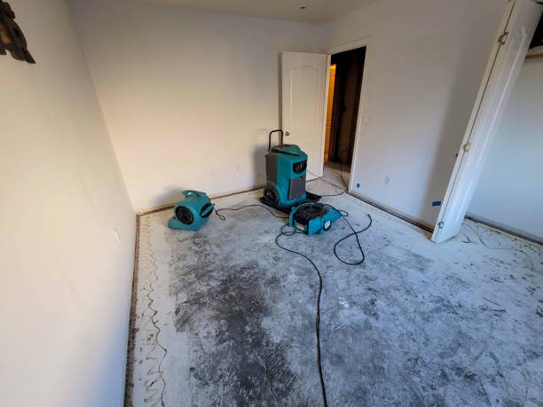 Best Local water damage restoration  in Oakland, MO