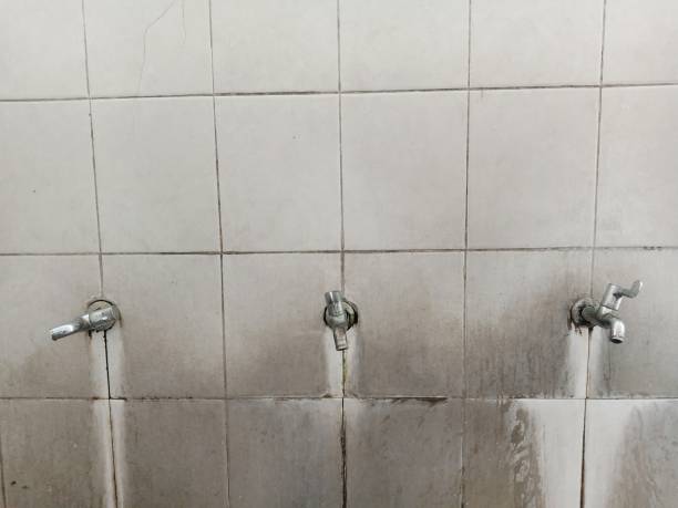 Best Water damage cleanup near me  in Oakland, MO