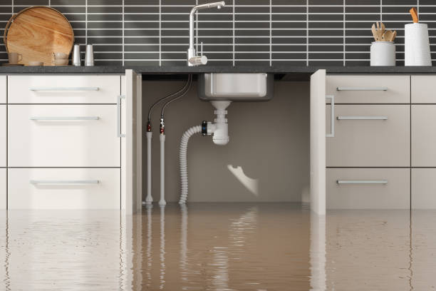 Best Water damage contractors near me  in Oakland, MO