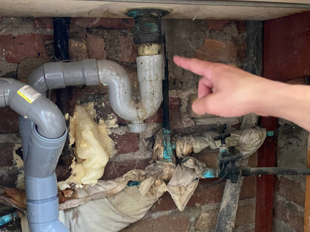 Best Mold removal after water damage  in Oakland, MO