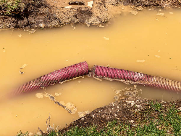 Water damage restoration mold remediation in MO